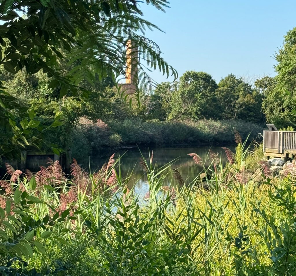 Mill Brook Brook Scenery